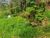 Terreno, 800 m² - Foto 16
