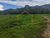 Terreno, 800 m² - Foto 10