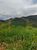 Terreno, 800 m² - Foto 23
