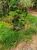 Terreno, 800 m² - Foto 17
