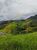 Terreno, 800 m² - Foto 7