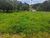 Terreno, 800 m² - Foto 9