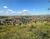 Terreno, 1000 m² - Foto 2