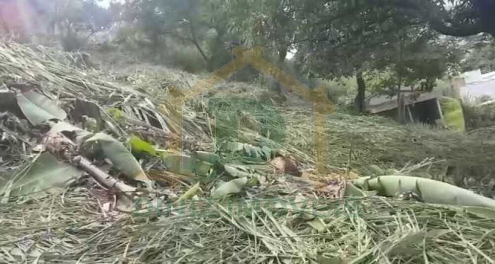 Terreno, 200 m² - Foto 2