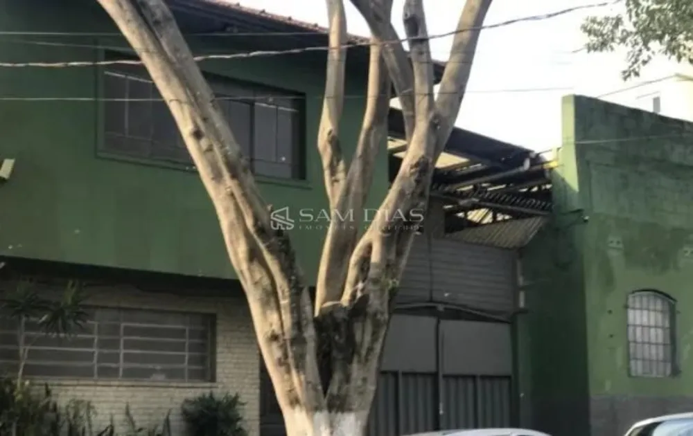 Depósito-Galpão, 1600 m² - Foto 2