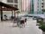Apartamento, 2 quartos, 67 m² - Foto 4