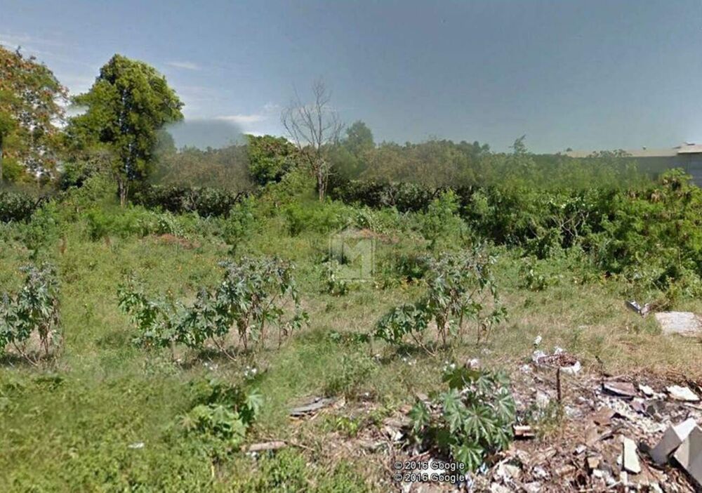 Terreno, 3200 m² - Foto 3