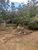 Terreno, 1 hectares - Foto 27