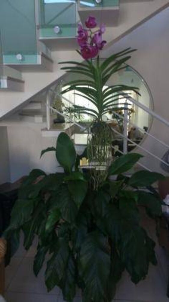 Casa, 3 quartos, 260 m² - Foto 1