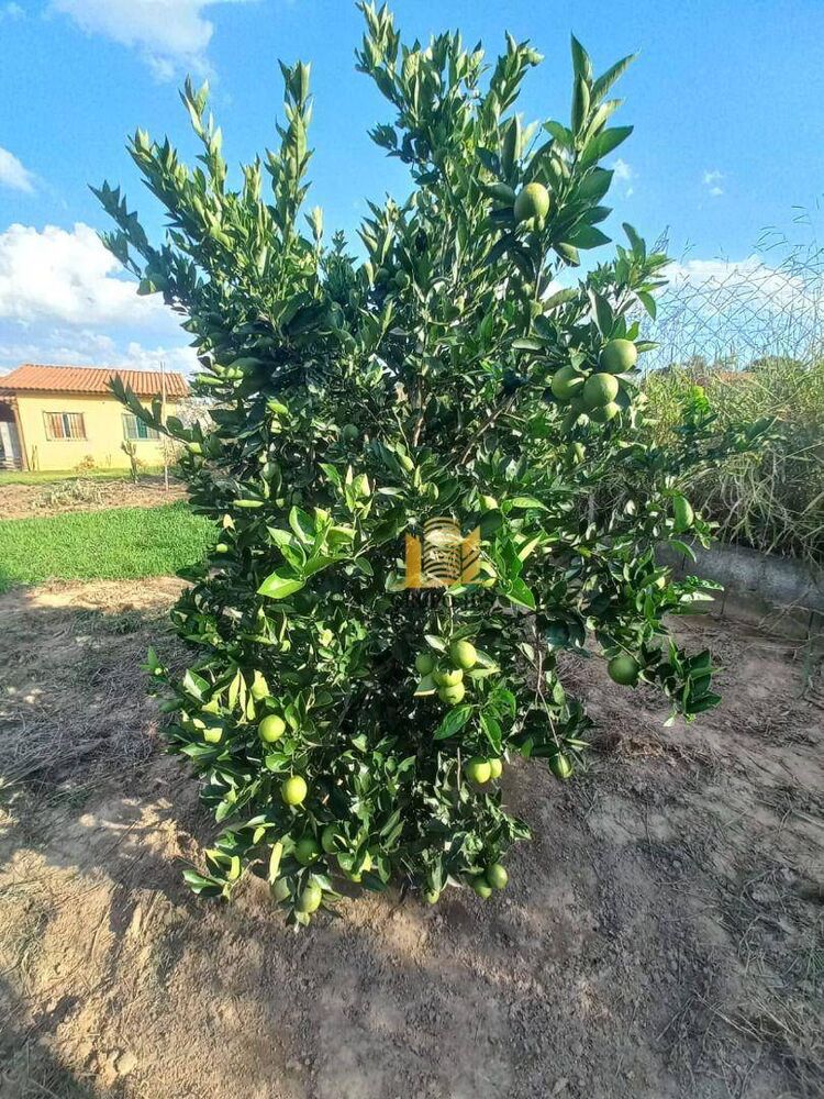 Chácara, 2 quartos, 1502 m² - Foto 13