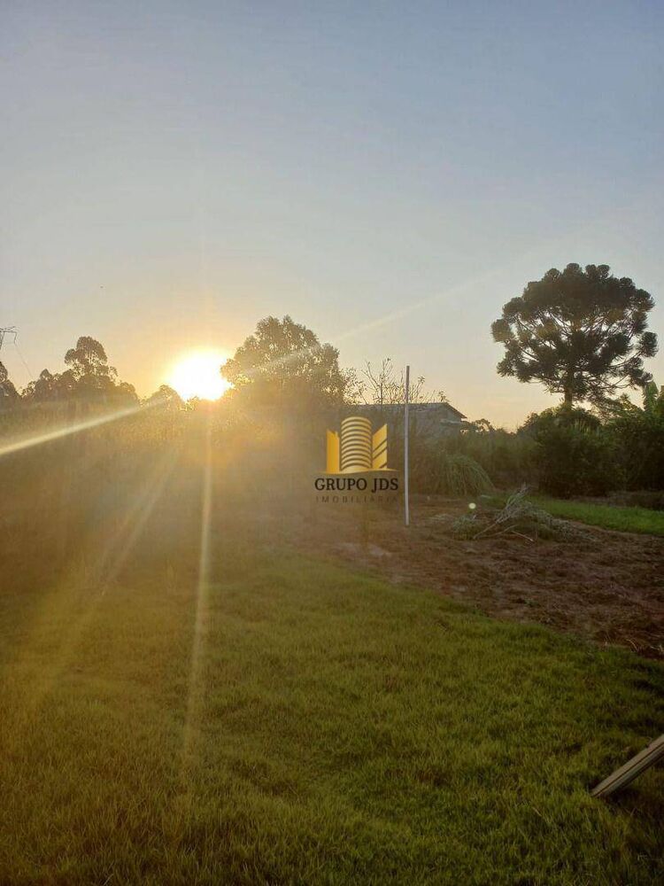 Chácara, 2 quartos, 1502 m² - Foto 14