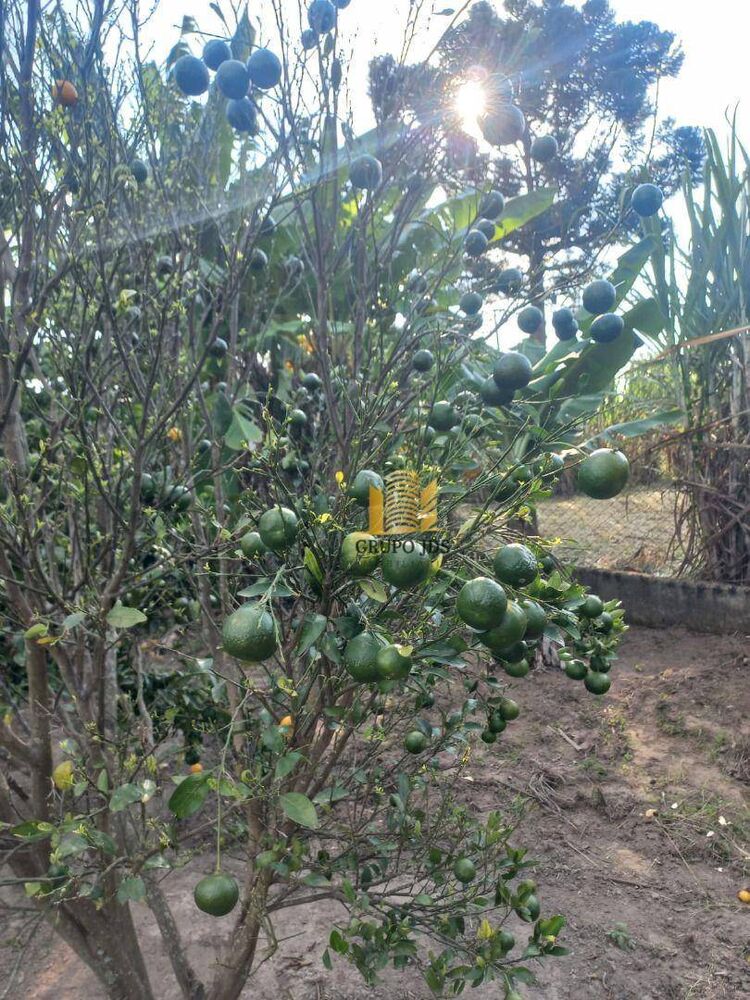 Chácara, 2 quartos, 1502 m² - Foto 11