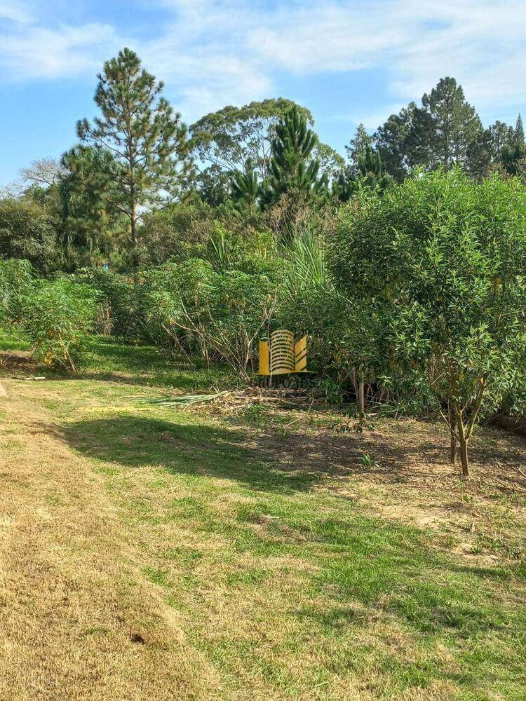 Chácara, 2 quartos, 1502 m² - Foto 16