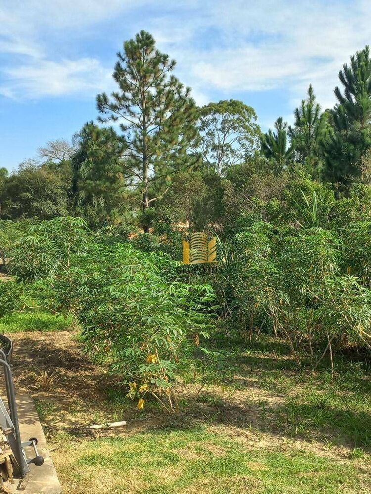 Chácara, 2 quartos, 1502 m² - Foto 18