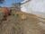 Terreno, 137 m² - Foto 1