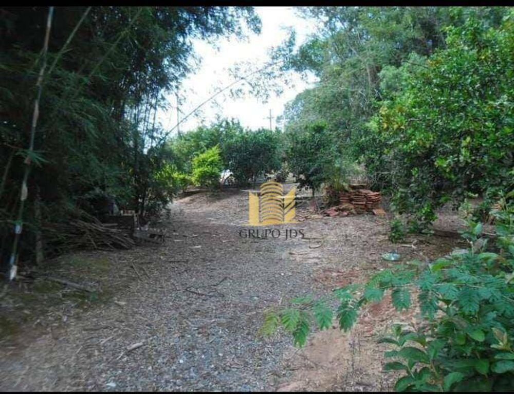 Chácara à venda com 3 quartos, 13000M2 - Foto 4