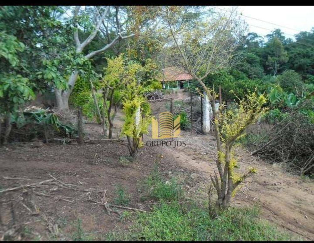 Chácara à venda com 3 quartos, 13000M2 - Foto 3