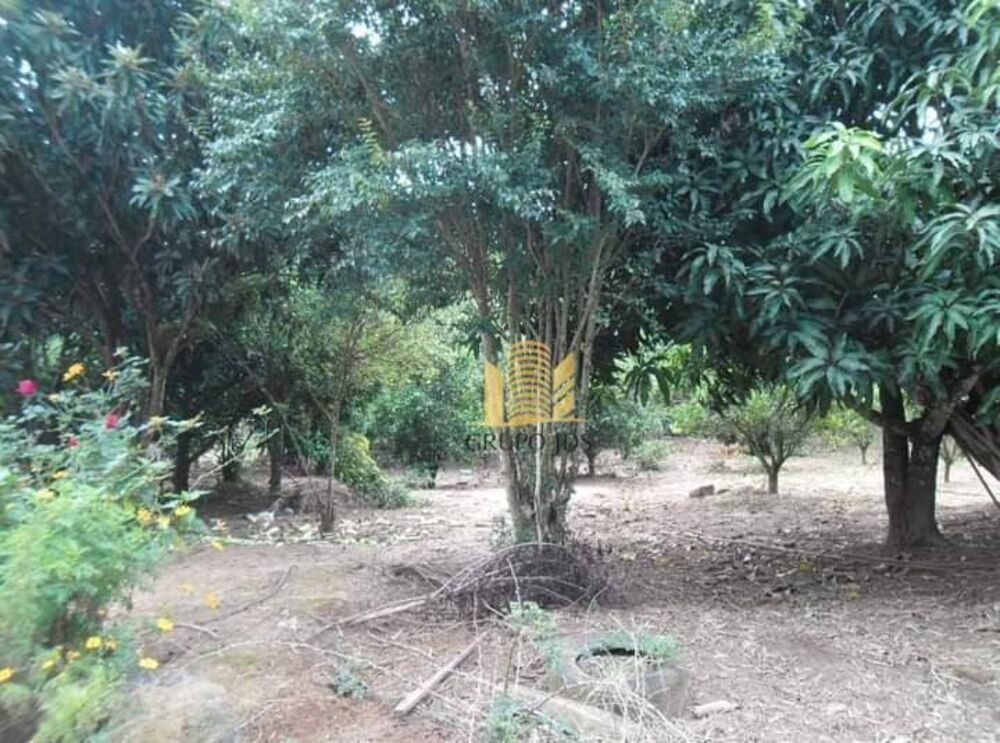 Chácara à venda com 3 quartos, 13000M2 - Foto 7