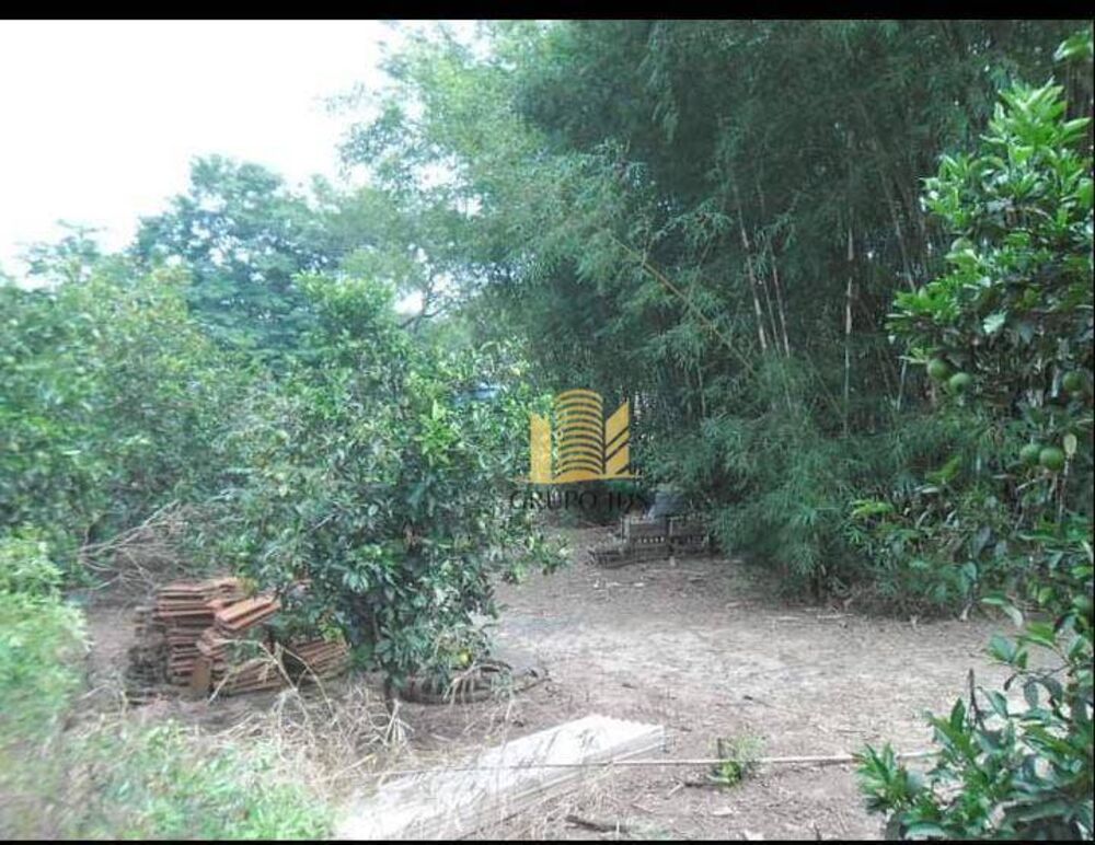 Chácara à venda com 3 quartos, 13000M2 - Foto 5