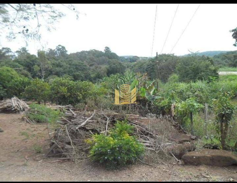 Chácara à venda com 3 quartos, 13000M2 - Foto 8