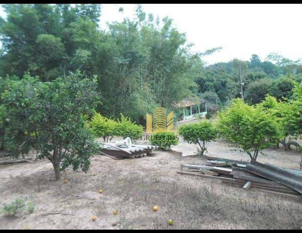 Chácara à venda com 3 quartos, 13000M2 - Foto 10