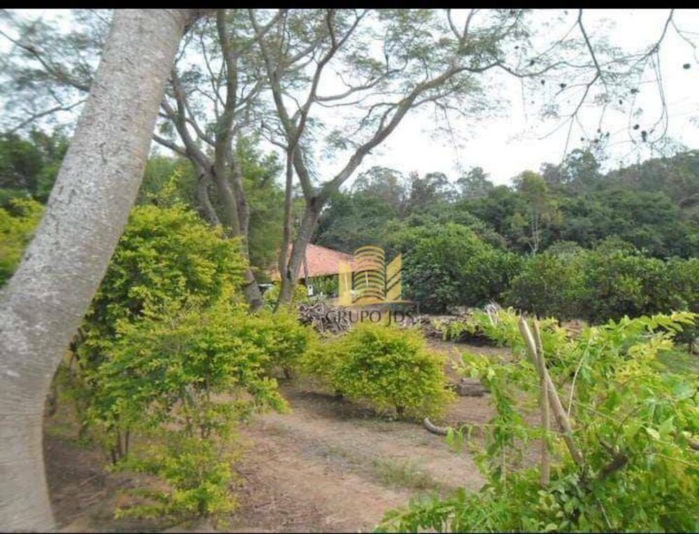 Chácara à venda com 3 quartos, 13000M2 - Foto 11