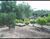 Chácara, 3 quartos, 1 hectares - Foto 10