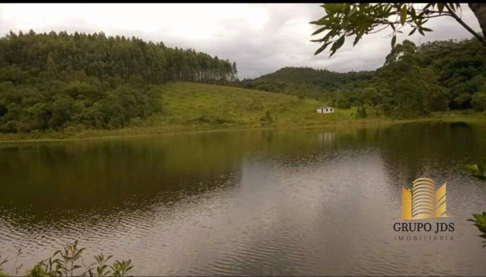 Terreno, 3 hectares - Foto 3