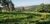 Terreno, 1 m² - Foto 3