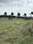 Terreno, 1000 m² - Foto 3