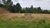 Terreno, 3 hectares - Foto 7