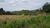 Terreno, 3 hectares - Foto 1