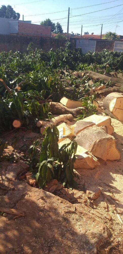 Terreno, 600 m² - Foto 3