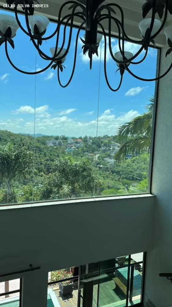 Casa, 4 quartos - Foto 4