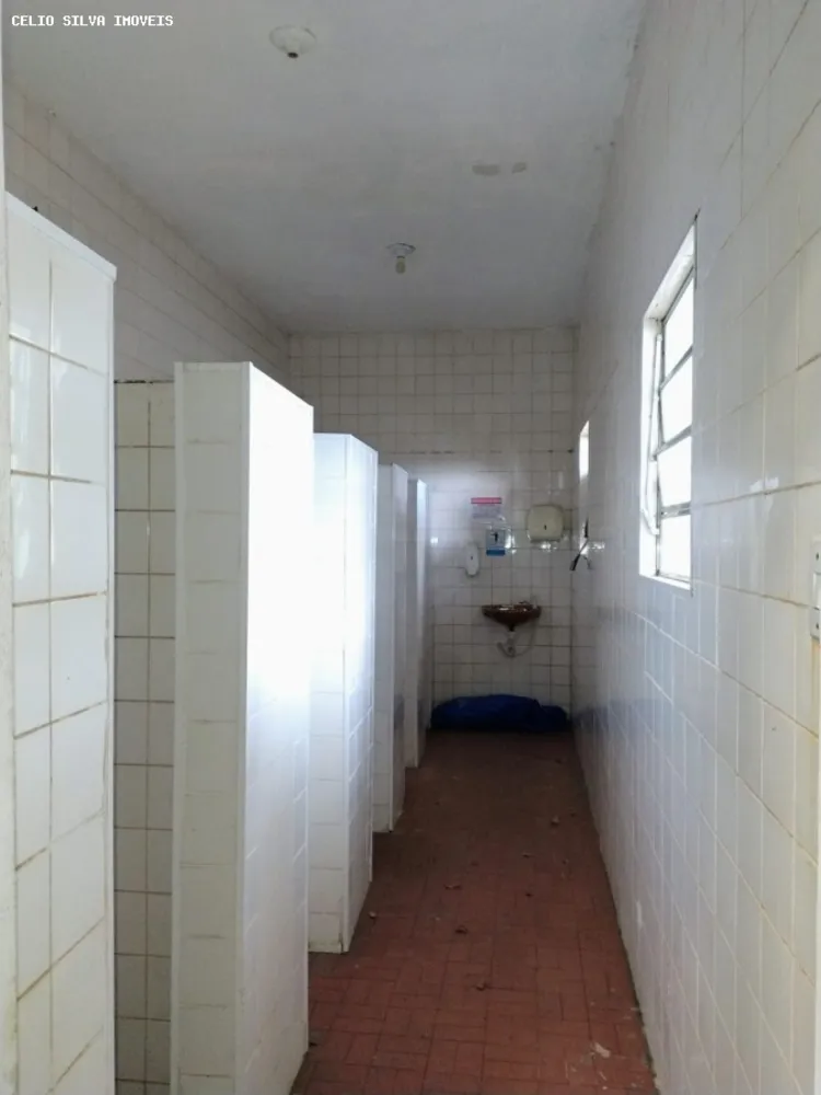 Depósito-Galpão - Foto 1
