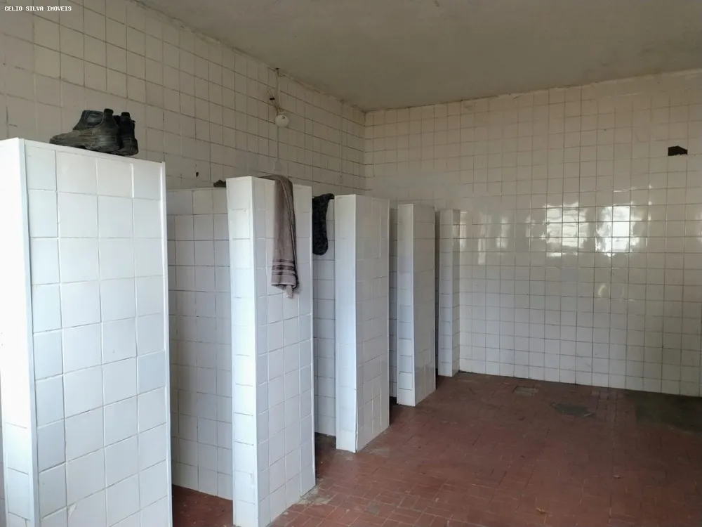 Depósito-Galpão - Foto 9