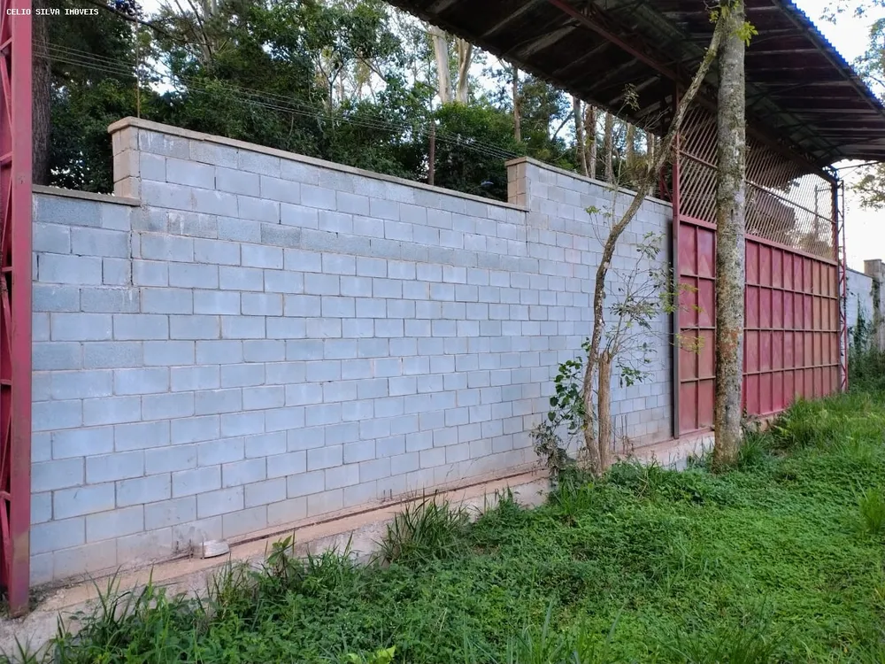 Terreno, 10000 m² - Foto 3