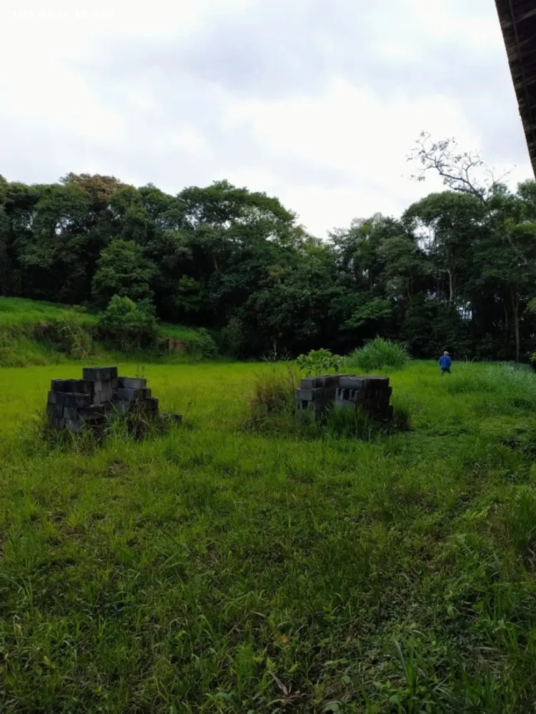Terreno, 10000 m² - Foto 12