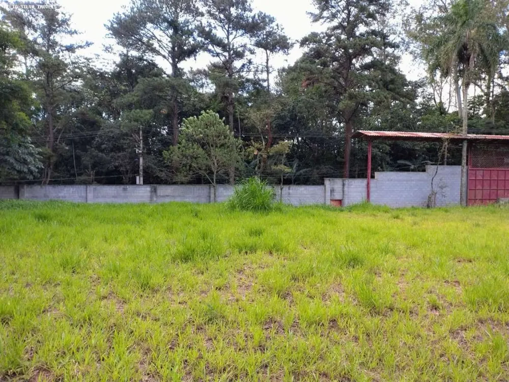 Terreno, 10000 m² - Foto 5