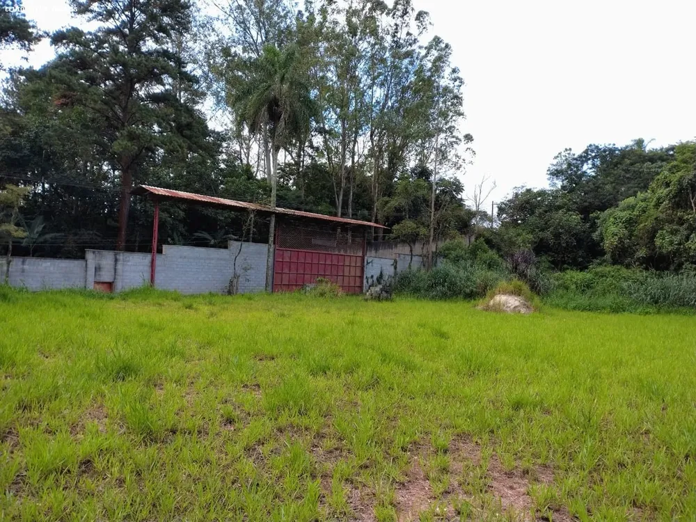 Terreno, 10000 m² - Foto 4