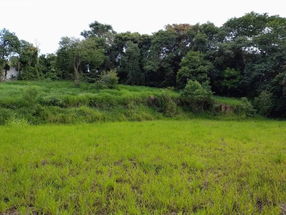 Terreno, 10000 m² - Foto 6