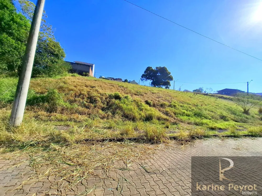 Terreno, 250 m² - Foto 1