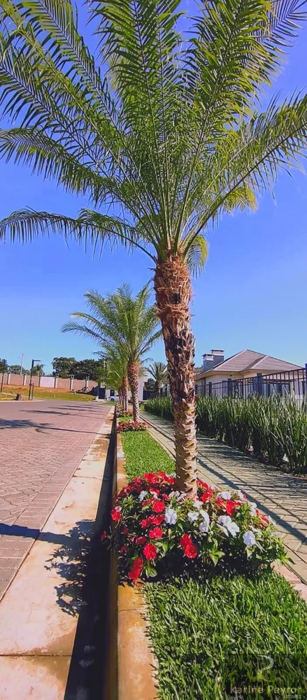 Terreno, 517 m² - Foto 13
