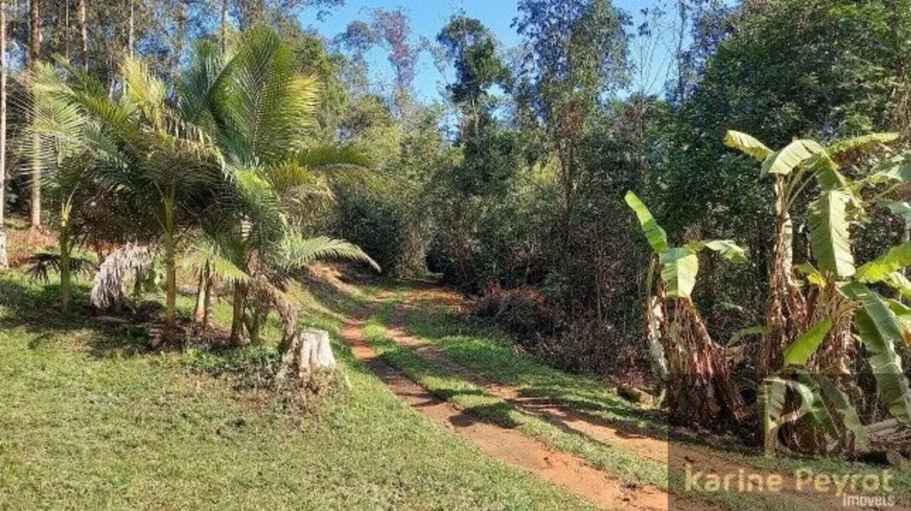 Chácara, 5 quartos, 2 hectares - Foto 15