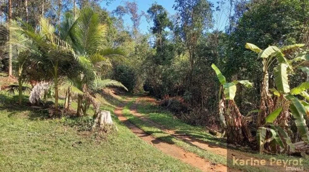 Chácara, 5 quartos, 2 hectares - Foto 16