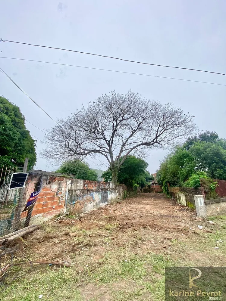 Terreno, 346 m² - Foto 6