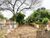 Terreno, 346 m² - Foto 2