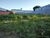 Terreno, 722 m² - Foto 2