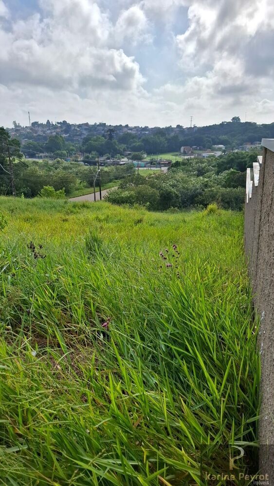 Terreno, 250 m² - Foto 3