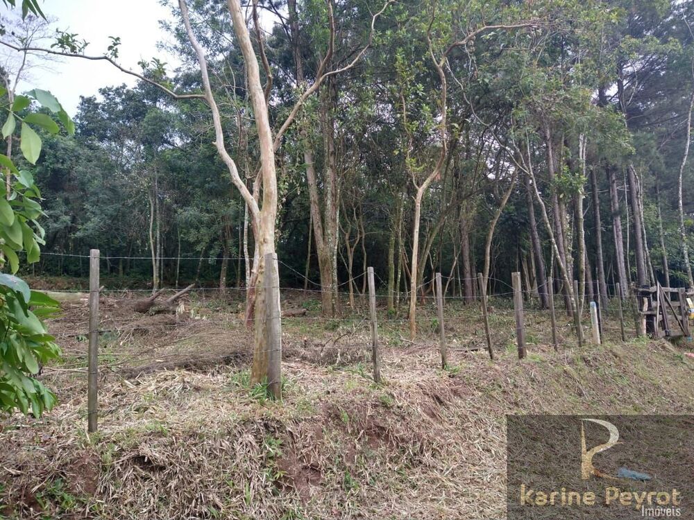 Terreno à venda, 292m² - Foto 3